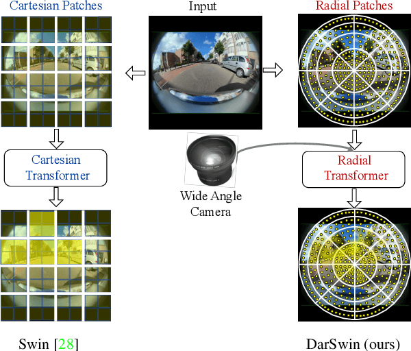 Figure 1 for DarSwin: Distortion Aware Radial Swin Transformer