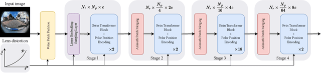 Figure 3 for DarSwin: Distortion Aware Radial Swin Transformer