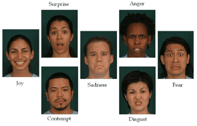 Figure 2 for SAFER: Situation Aware Facial Emotion Recognition