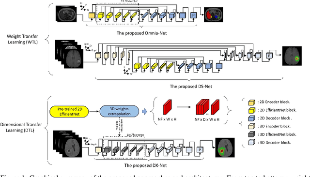 Figure 1 for Cross-dimensional transfer learning in medical image segmentation with deep learning