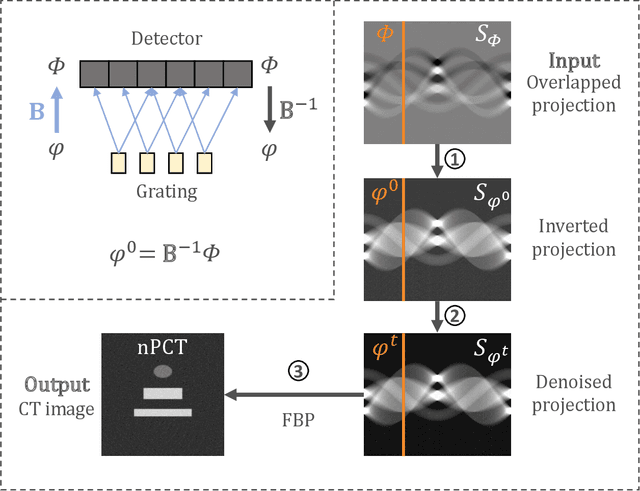 Figure 2 for Model-driven CT reconstruction algorithm for nano-resolution X-ray phase contrast imaging