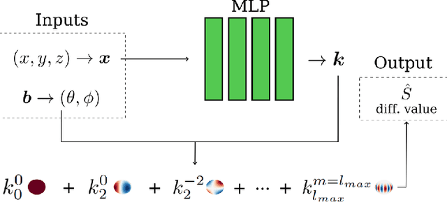 Figure 1 for Neural Spherical Harmonics for structurally coherent continuous representation of diffusion MRI signal