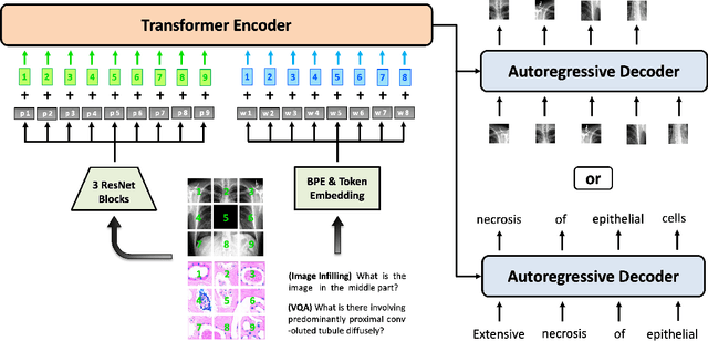 Figure 3 for BiomedGPT: A Unified and Generalist Biomedical Generative Pre-trained Transformer for Vision, Language, and Multimodal Tasks