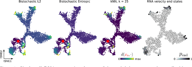 Figure 3 for Manifold Learning with Sparse Regularised Optimal Transport