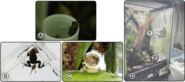 Figure 1 for Feed Me: Robotic Infiltration of Poison Frog Families