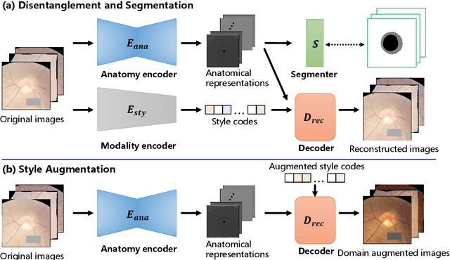 Figure 1 for CDDSA: Contrastive Domain Disentanglement and Style Augmentation for Generalizable Medical Image Segmentation