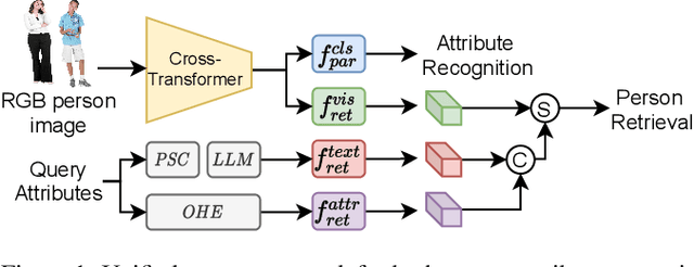Figure 1 for CLEAR: Cross-Transformers with Pre-trained Language Model is All you need for Person Attribute Recognition and Retrieval