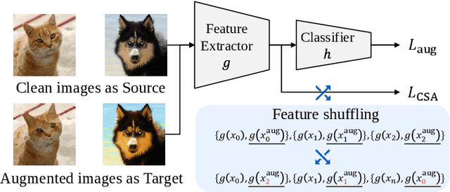 Figure 1 for Incorporating Supervised Domain Generalization into Data Augmentation