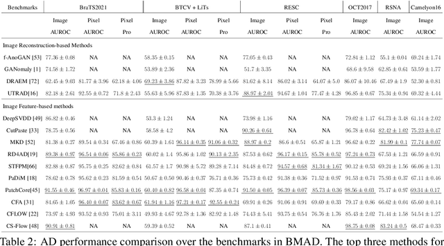 Figure 3 for BMAD: Benchmarks for Medical Anomaly Detection