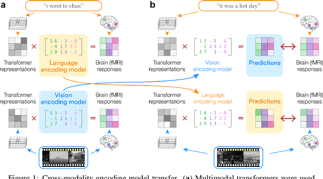 Figure 1 for Brain encoding models based on multimodal transformers can transfer across language and vision