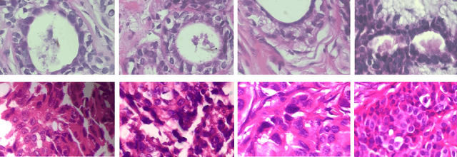 Figure 1 for Could We Generate Cytology Images from Histopathology Images? An Empirical Study