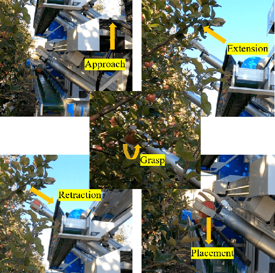 Figure 3 for Multi-Arm Robot Task Planning for Fruit Harvesting Using Multi-Agent Reinforcement Learning