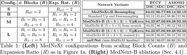 Figure 2 for MedNeXt: Transformer-driven Scaling of ConvNets for Medical Image Segmentation