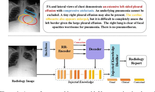 Figure 1 for KiUT: Knowledge-injected U-Transformer for Radiology Report Generation