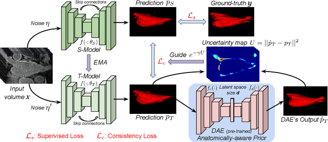 Figure 3 for Anatomically-aware Uncertainty for Semi-supervised Image Segmentation
