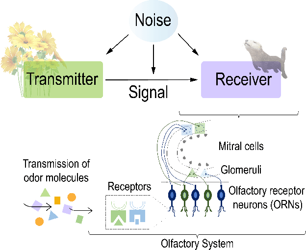 Figure 2 for Odor-Based Molecular Communications: State-of-the-Art, Vision, Challenges, and Frontier Directions