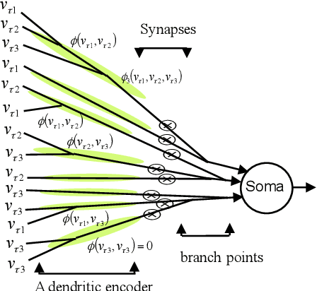 Figure 1 for Low-Order Model of Biological Neural Networks