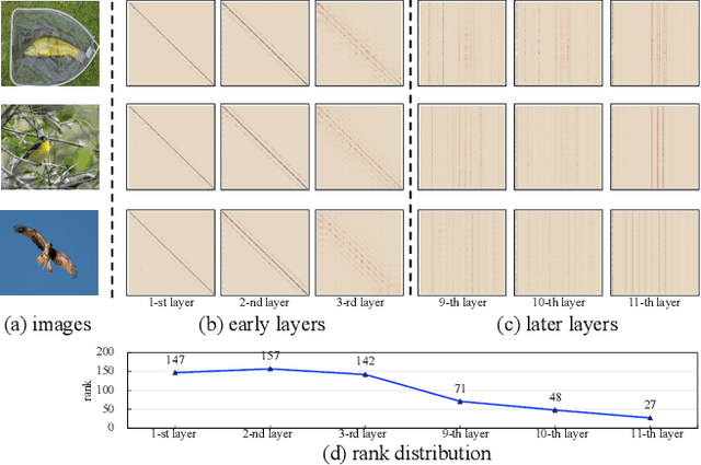Figure 1 for Accelerating Vision Transformers Based on Heterogeneous Attention Patterns