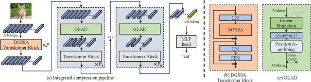 Figure 3 for Accelerating Vision Transformers Based on Heterogeneous Attention Patterns