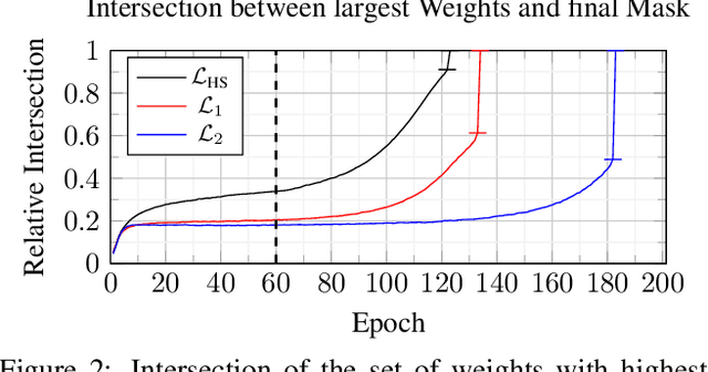 Figure 4 for HyperSparse Neural Networks: Shifting Exploration to Exploitation through Adaptive Regularization
