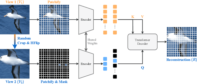 Figure 1 for Efficient Image Pre-Training with Siamese Cropped Masked Autoencoders