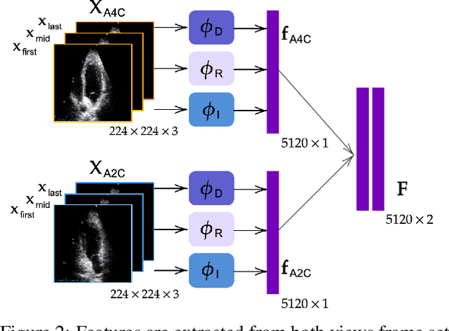 Figure 3 for SAF-Net: Self-Attention Fusion Network for Myocardial Infarction Detection using Multi-View Echocardiography