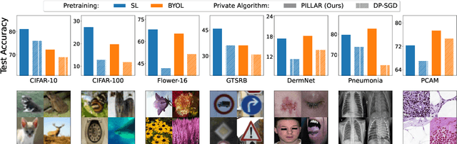 Figure 1 for PILLAR: How to make semi-private learning more effective