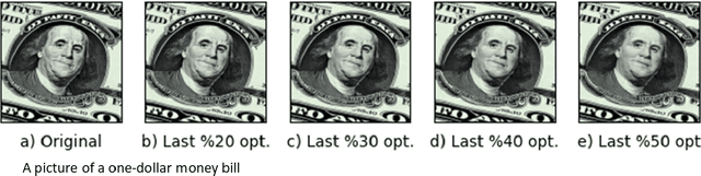 Figure 3 for Selective Guidance: Are All the Denoising Steps of Guided Diffusion Important?