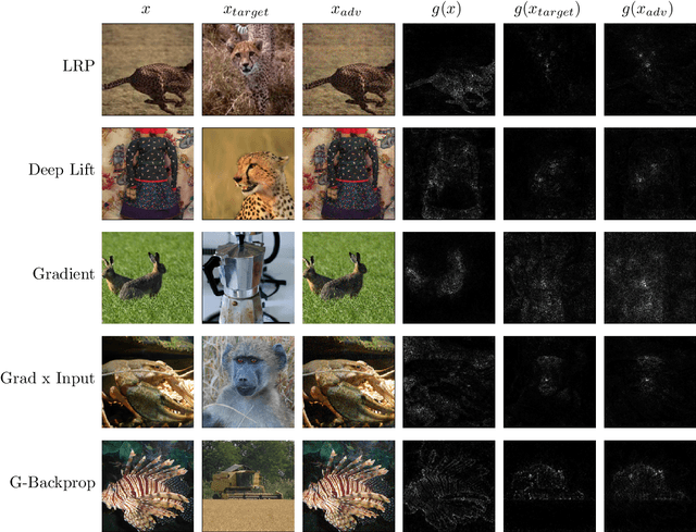 Figure 4 for Foiling Explanations in Deep Neural Networks