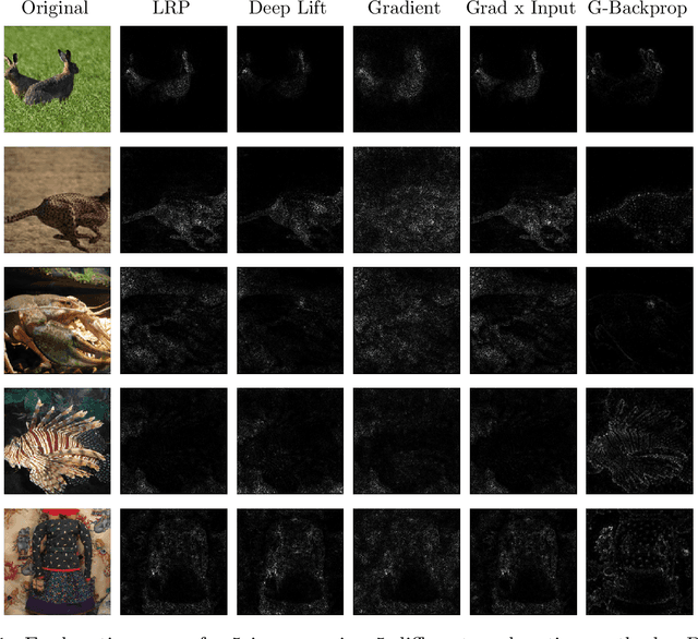 Figure 1 for Foiling Explanations in Deep Neural Networks