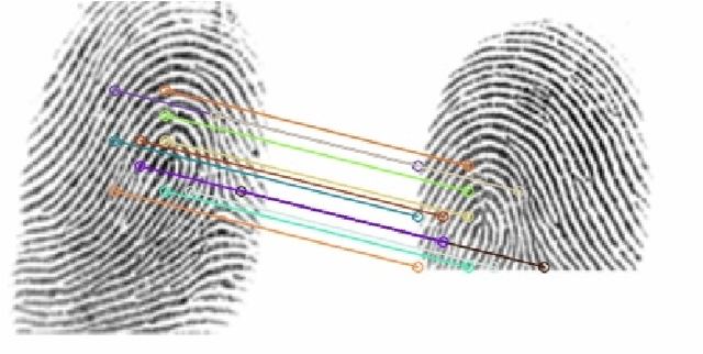 Figure 1 for AFR-Net: Attention-Driven Fingerprint Recognition Network