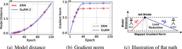 Figure 4 for Frustratingly Easy Model Generalization by Dummy Risk Minimization