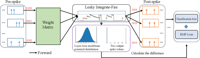 Figure 1 for RMP-Loss: Regularizing Membrane Potential Distribution for Spiking Neural Networks
