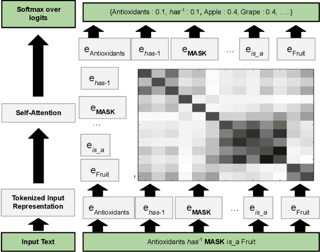 Figure 2 for Knowledge Graph Guided Semantic Evaluation of Language Models For User Trust