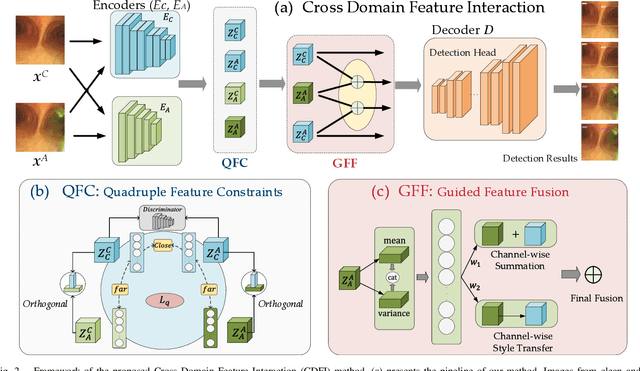 Figure 2 for CDFI: Cross Domain Feature Interaction for Robust Bronchi Lumen Detection