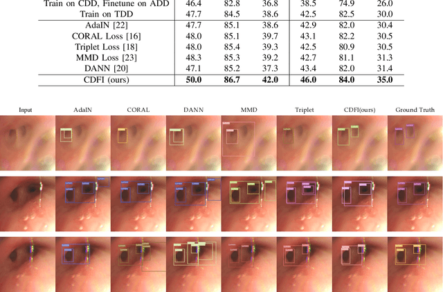 Figure 3 for CDFI: Cross Domain Feature Interaction for Robust Bronchi Lumen Detection