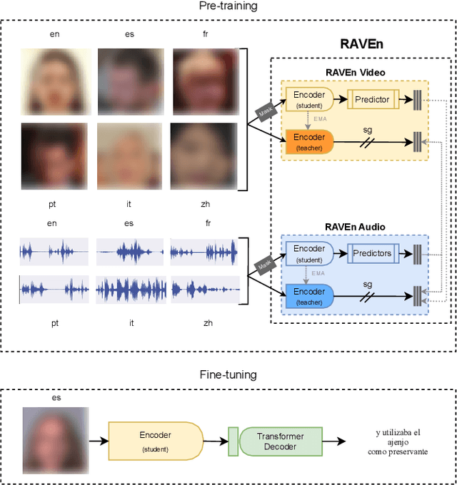 Figure 1 for Learning Cross-lingual Visual Speech Representations