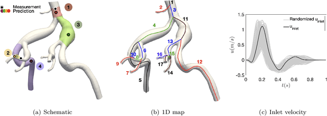 Figure 4 for Reconstructing Blood Flow in Data-Poor Regimes: A Vasculature Network Kernel for Gaussian Process Regression