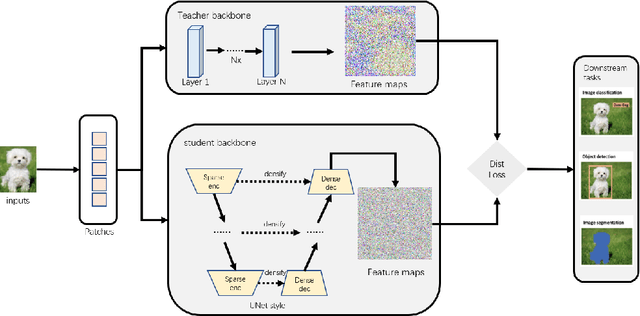 Figure 3 for Heterogeneous Generative Knowledge Distillation with Masked Image Modeling