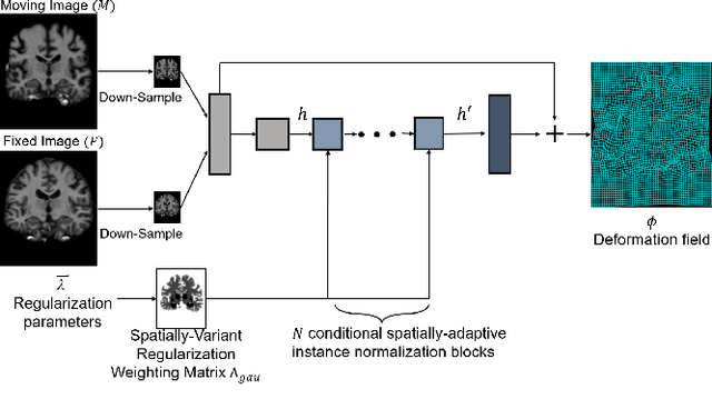 Figure 3 for Conditional Deformable Image Registration with Spatially-Variant and Adaptive Regularization