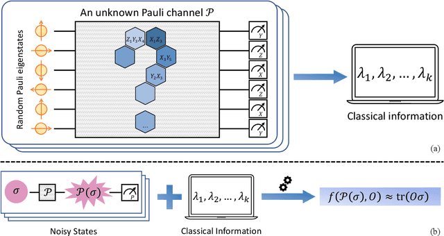 Figure 1 for Efficient information recovery from Pauli noise via classical shadow