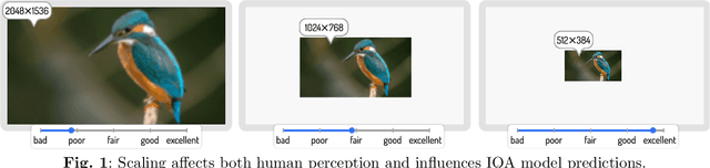 Figure 1 for KonX: Cross-Resolution Image Quality Assessment