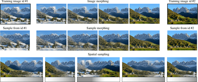 Figure 1 for BlendGAN: Learning and Blending the Internal Distributions of Single Images by Spatial Image-Identity Conditioning