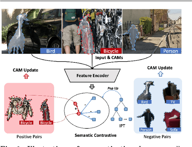 Figure 1 for Semantic Contrastive Bootstrapping for Single-positive Multi-label Recognition