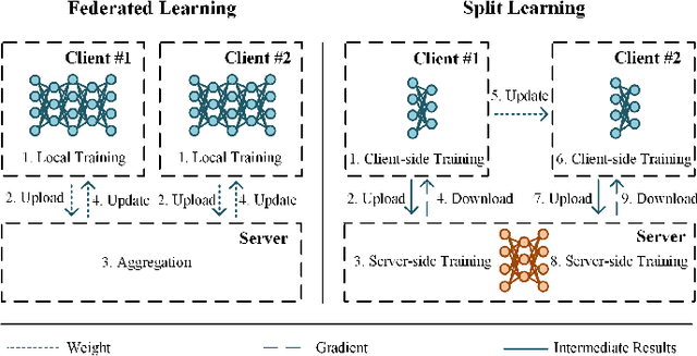 Figure 1 for Robust Split Federated Learning for U-shaped Medical Image Networks