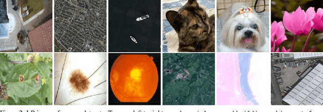 Figure 4 for Deep learning techniques for blind image super-resolution: A high-scale multi-domain perspective evaluation