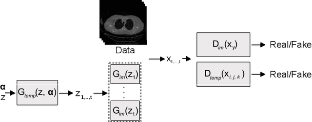 Figure 1 for Explicit Temporal Embedding in Deep Generative Latent Models for Longitudinal Medical Image Synthesis