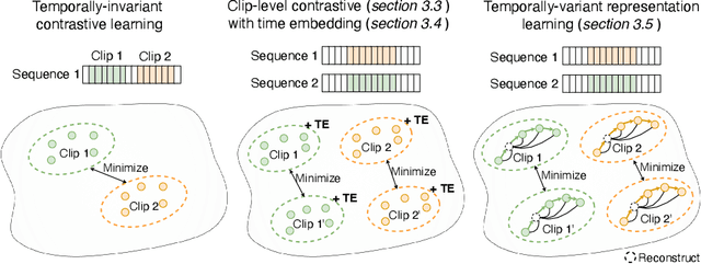 Figure 3 for Spatiotemporal Representation Learning for Short and Long Medical Image Time Series