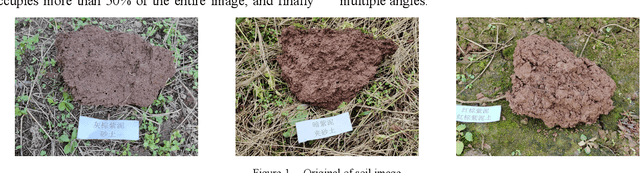 Figure 1 for Soil Image Segmentation Based on Mask R-CNN