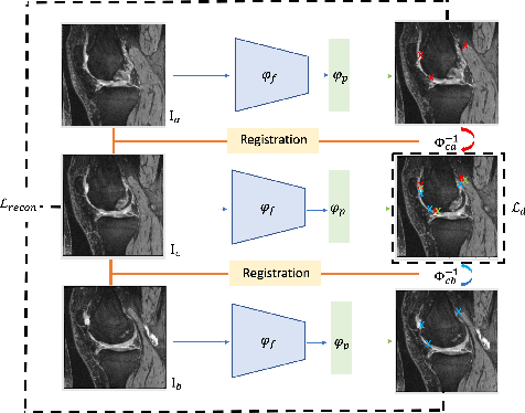 Figure 3 for Self-supervised Landmark Learning with Deformation Reconstruction and Cross-subject Consistency Objectives